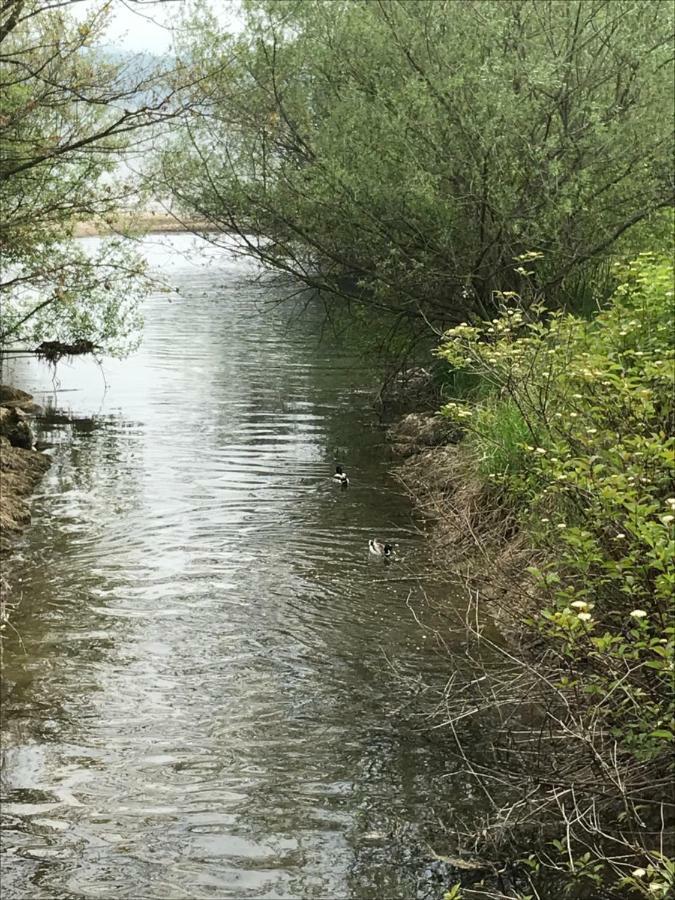 Pp-Camping Wallersee Seekirchen am Wallersee Eksteriør billede