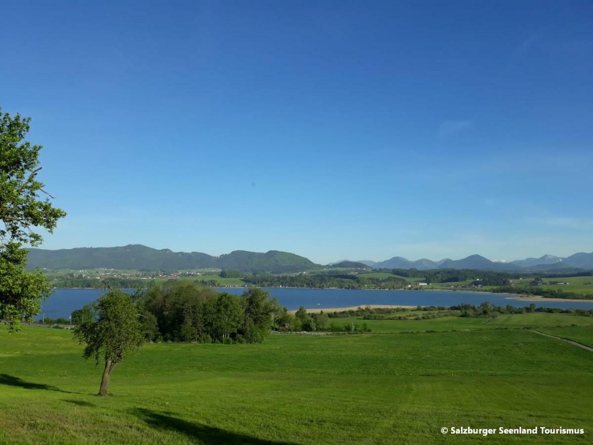 Pp-Camping Wallersee Seekirchen am Wallersee Eksteriør billede