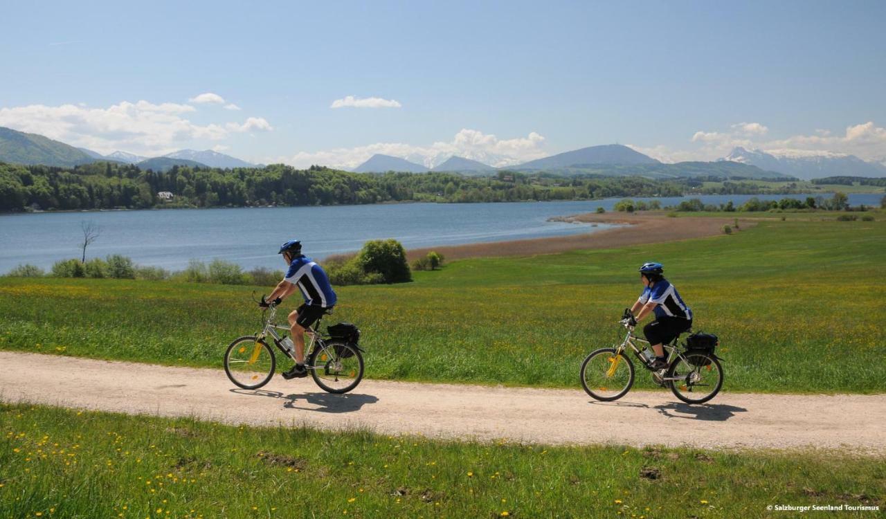 Pp-Camping Wallersee Seekirchen am Wallersee Eksteriør billede