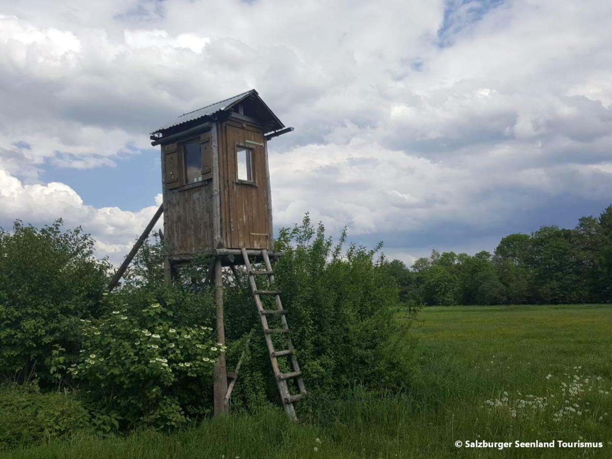 Pp-Camping Wallersee Seekirchen am Wallersee Eksteriør billede
