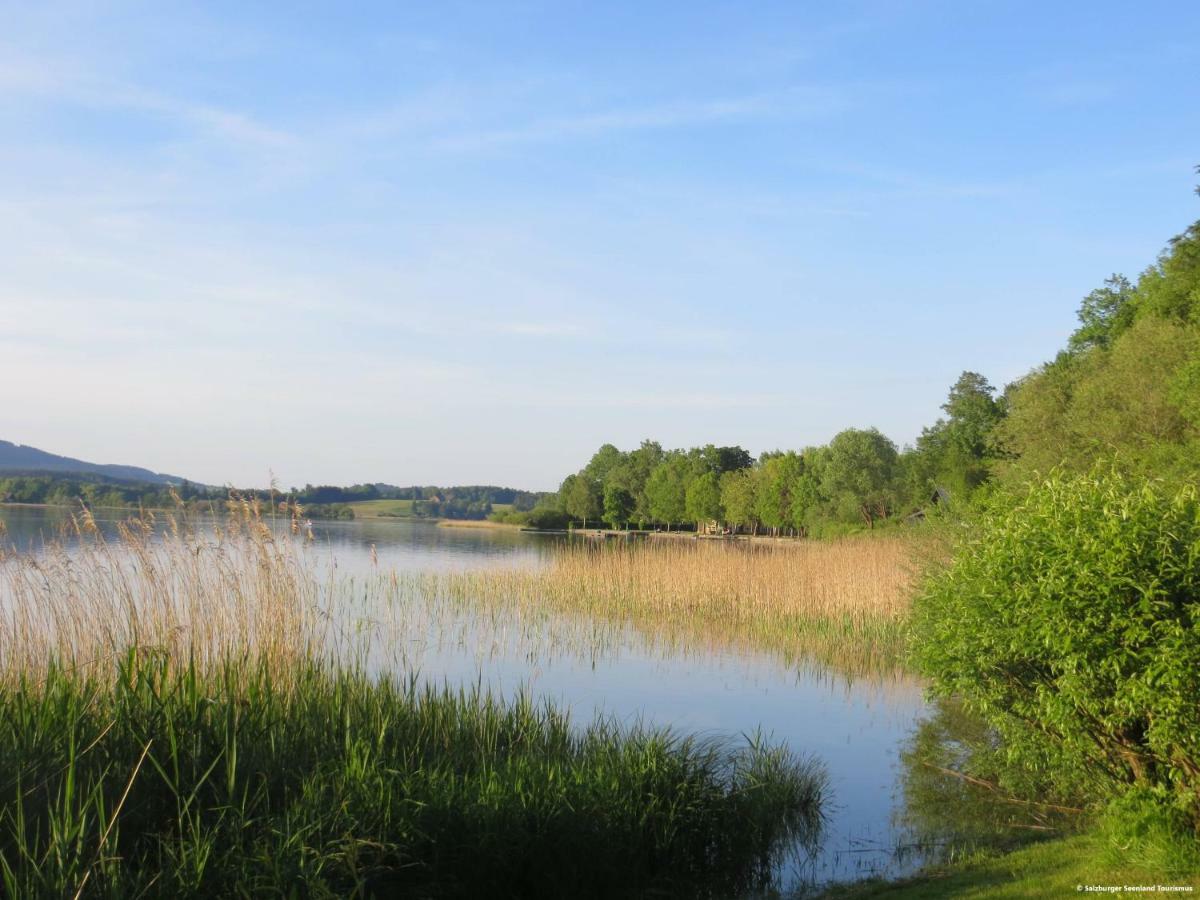 Pp-Camping Wallersee Seekirchen am Wallersee Eksteriør billede