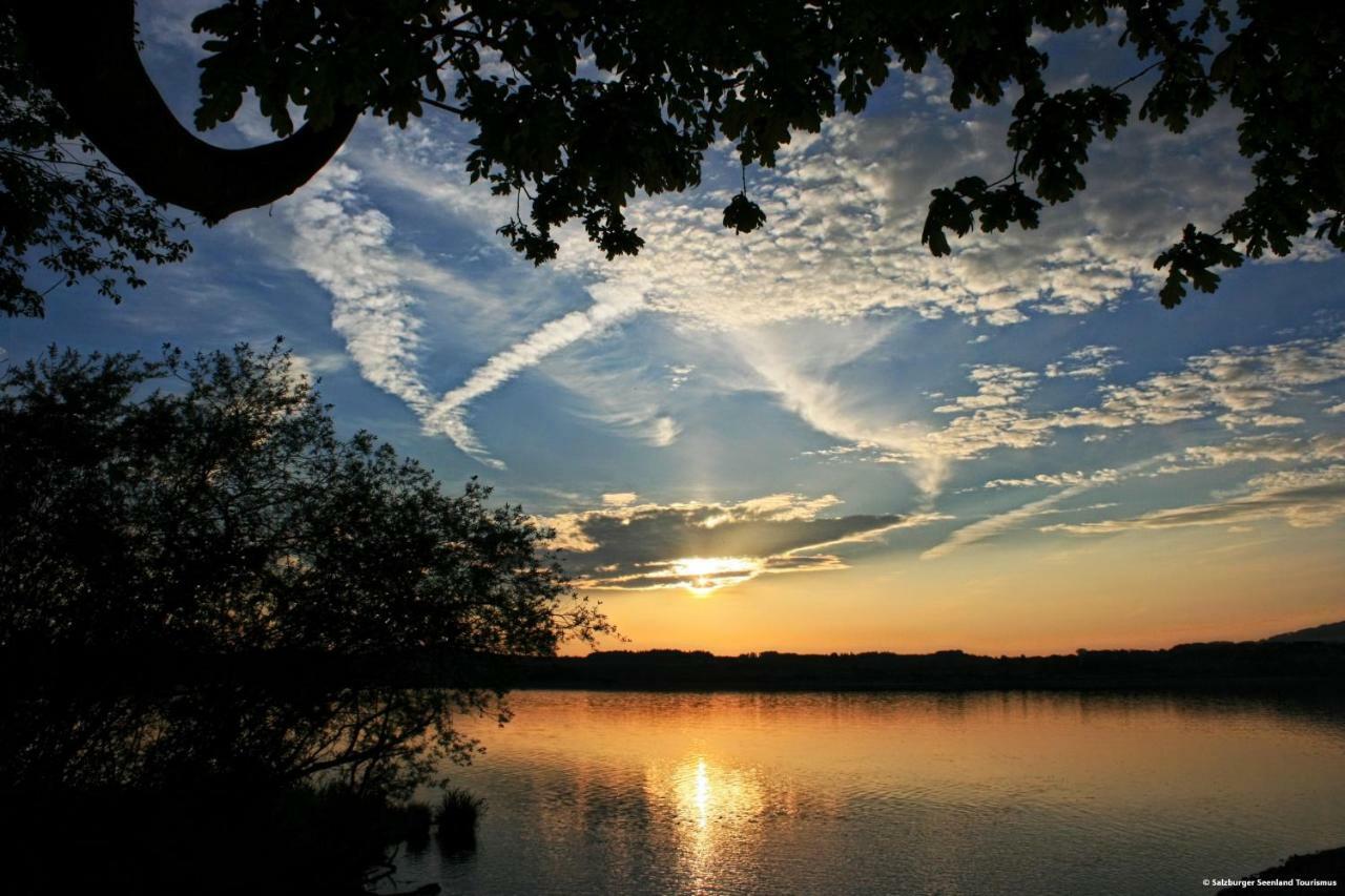 Pp-Camping Wallersee Seekirchen am Wallersee Eksteriør billede